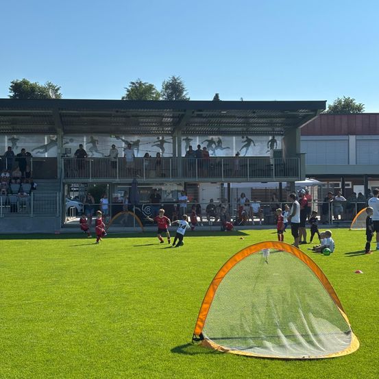 Mehrere kleine Kinder spielen Fußball auf einem gepflegten Feld. Ein Tornetz ist aufgestellt. Zuschauer sehen von den Tribünen und Seitenlinien zu.