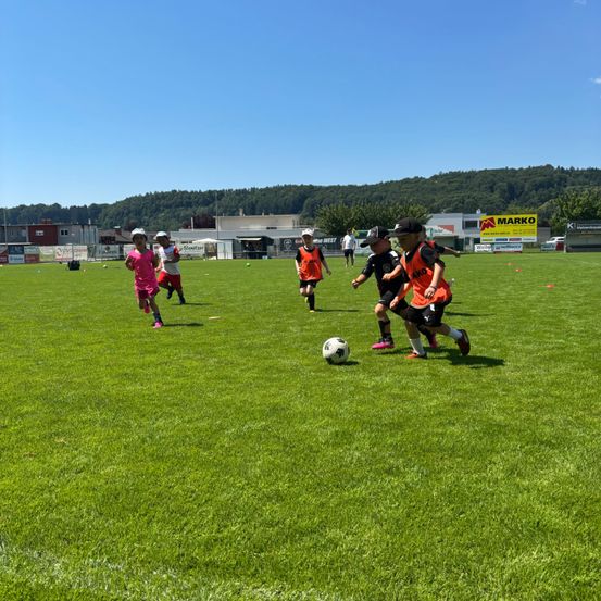 Eine Gruppe von Kindern in verschiedenen farbigen Trikots spielt Fußball auf einem grünen Feld, wobei orangefarbene Hütchen die Grenzen markieren. Ein weißer Fußball ist in der Luft, und der Hintergrund zeigt einen blauen Himmel mit Bäumen und Gebäuden.
