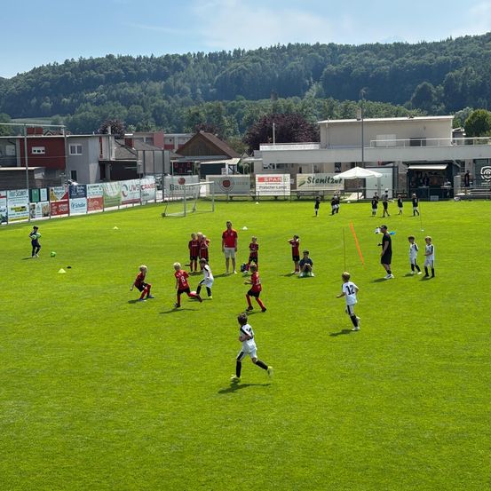 Kinder spielen Fußball auf einem grünen Feld mit Bergen im Hintergrund. Einige laufen, während andere in der Nähe von Torpfosten stehen. Es gibt Werbebanner und Gebäude in der Ferne.