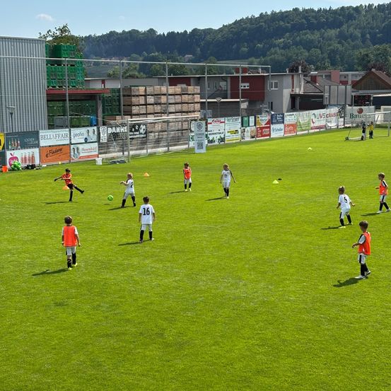 Eine Gruppe von Kindern in orangefarbenen Westen und weißen Trikots spielt Fußball auf einem Feld, mit Gebäuden und Bäumen im Hintergrund.