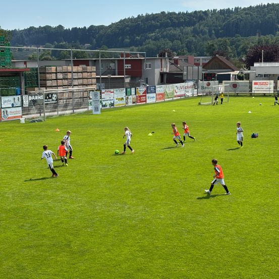 Kinder spielen Fußball auf einem grünen Feld, mit mehreren Toren und Werbebannern am Rand. Im Hintergrund ist ein bergiges Gebiet zu sehen.