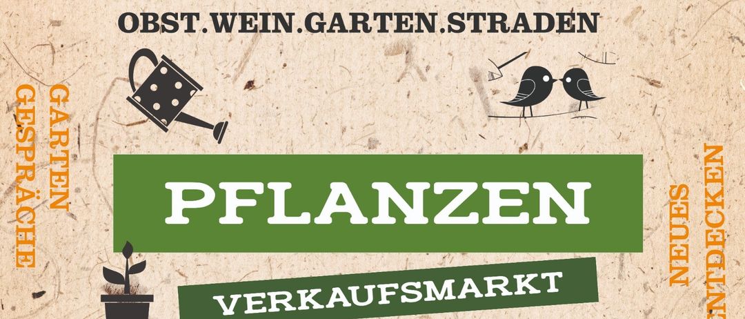 Pflanzenverkauf an der Weingartenstraße, Weingarten 80. Am 9. Mai, von 10 bis 13 Uhr. Ort: Heindelhaus. Kontakt: info@weingarten.com.