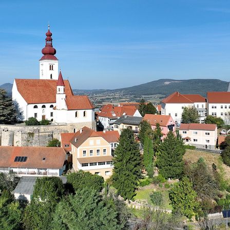 Luftaufnahme einer Stadt in Slowenien mit einer Kirche und Häusern, umgeben von Bäumen und Bergen.