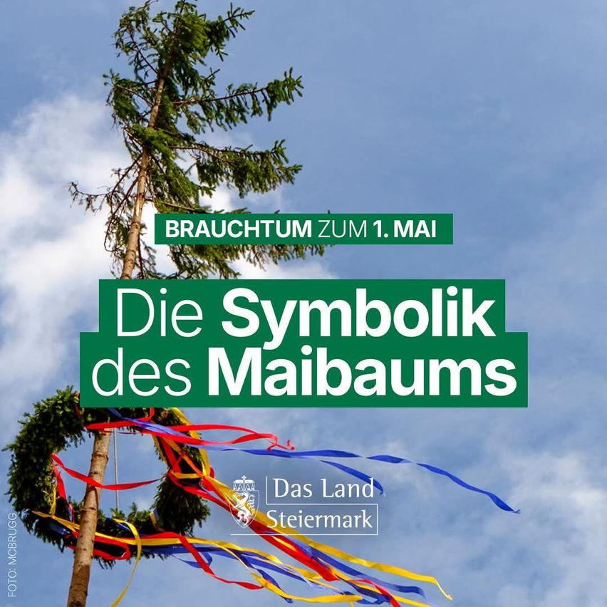 Poster with a tall tree decorated with colorful ribbons. The poster reads Brauchtum zum 1. Mai and Die Symbolik des Maibaums. There is a logo for Das Land Steiermark at the bottom.