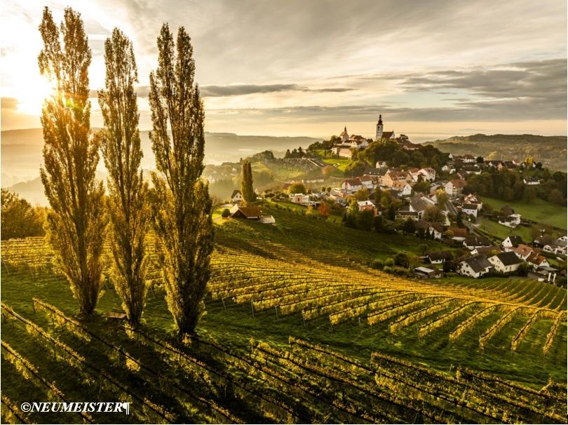 Sonnenuntergang über einem Weinberg mit einem kleinen Dorf und einer Kirche auf einem Hügel.
