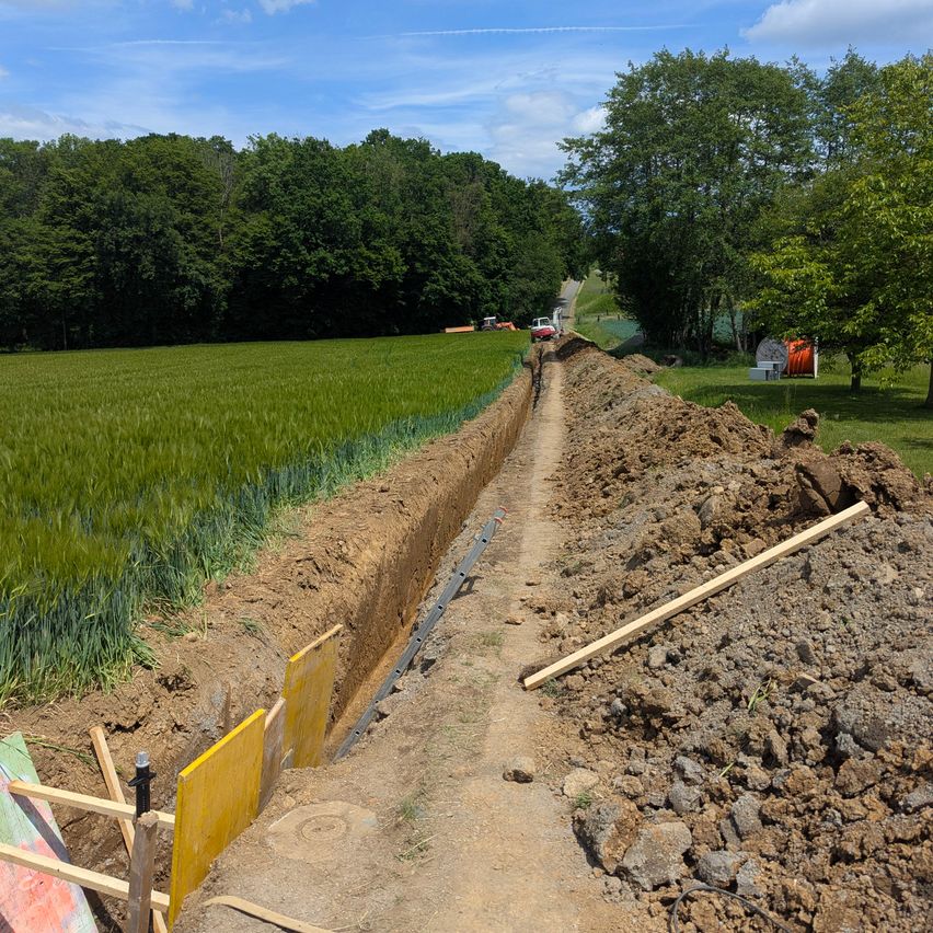 Ein Außenbereich zeigt einen mit gelben Barrieren versehenen Erdweg. Im Hintergrund befinden sich Bäume und ein grünes Feld. Ein Fahrzeug ist auf der Straße zu sehen.