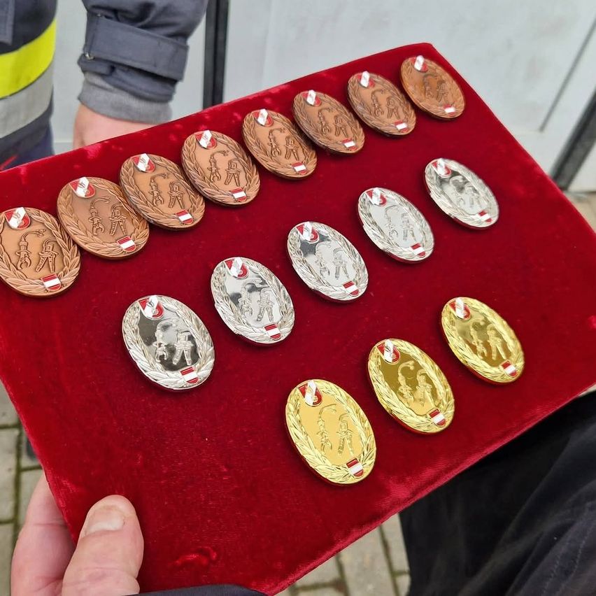 A hand holds a red velvet tray with several medals, including gold, silver, and bronze, with intricate designs on each.