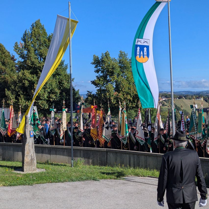 A group of people in uniform stands behind a wall, holding flags. A man in a black suit walks in front of them. Trees and mountains are in the background.