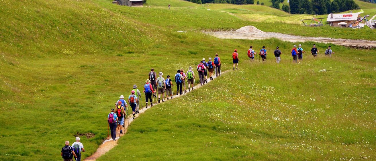 Eine Gruppe von Wanderern mit Rucksäcken und Trekkingstöcken geht auf einem Pfad in einem grasigen Feld, umgeben von grünen Hügeln und Bäumen.