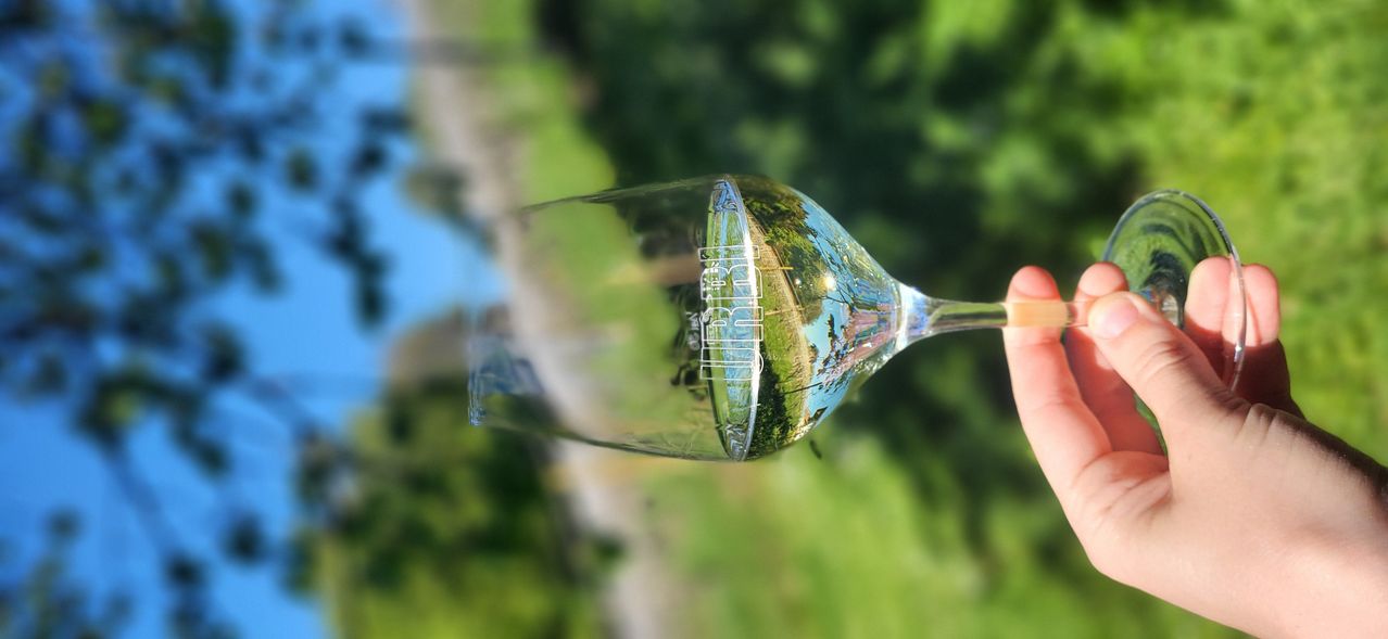 Ein klares Weinglas reflektiert eine üppige grüne Landschaft und zeigt ein lebendiges Bild eines Weges durch Bäume.