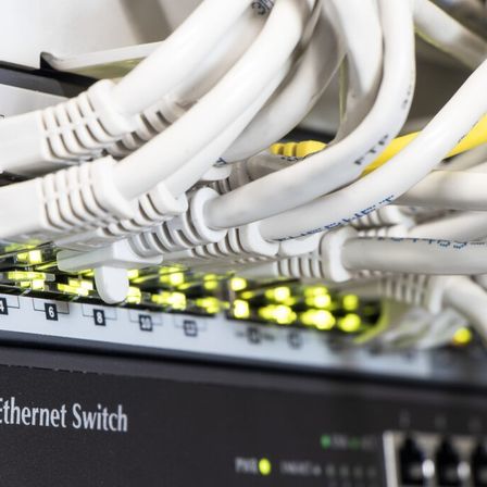 Nahaufnahme von Ethernet-Kabeln, die an einen Ethernet-Switch angeschlossen sind. Ports 4 und 6 haben aktive Verbindungen.