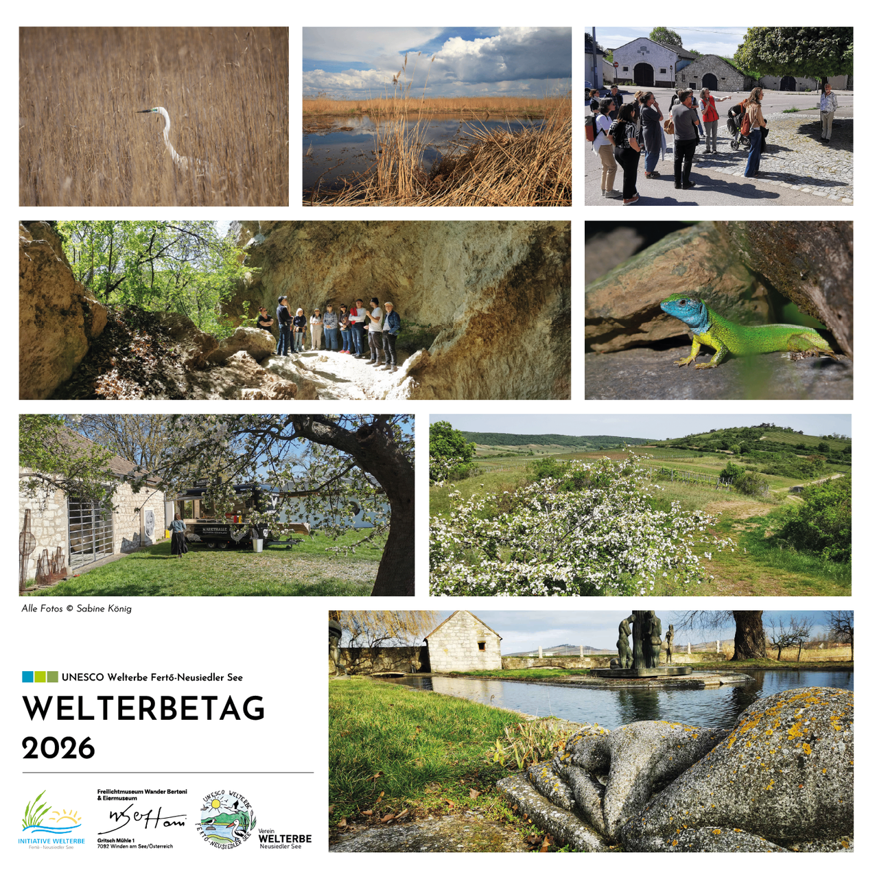 Eine Sammlung von Bildern mit verschiedenen Naturlandschaften, einer Gruppe von Menschen, die eine Höhle erkunden, einem Reptil auf einem Felsen und einem Dorf. Die Collage zeigt einen See, einen Baum, ein kleines Haus und einen Wasserkörper. Sie endet mit einem grünen Eidechsen und einer Steinstruktur.