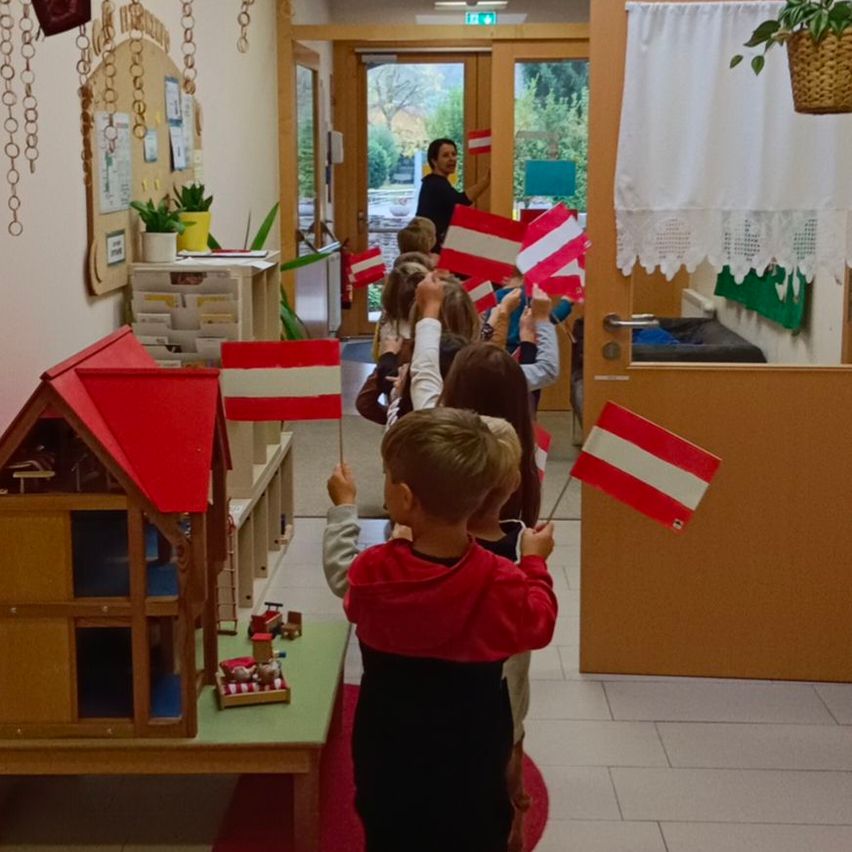 Bild enthält, Plant, Potted Plant, Boy, Child, Male, Person, Floor, Flooring, Austria Flag, Flag