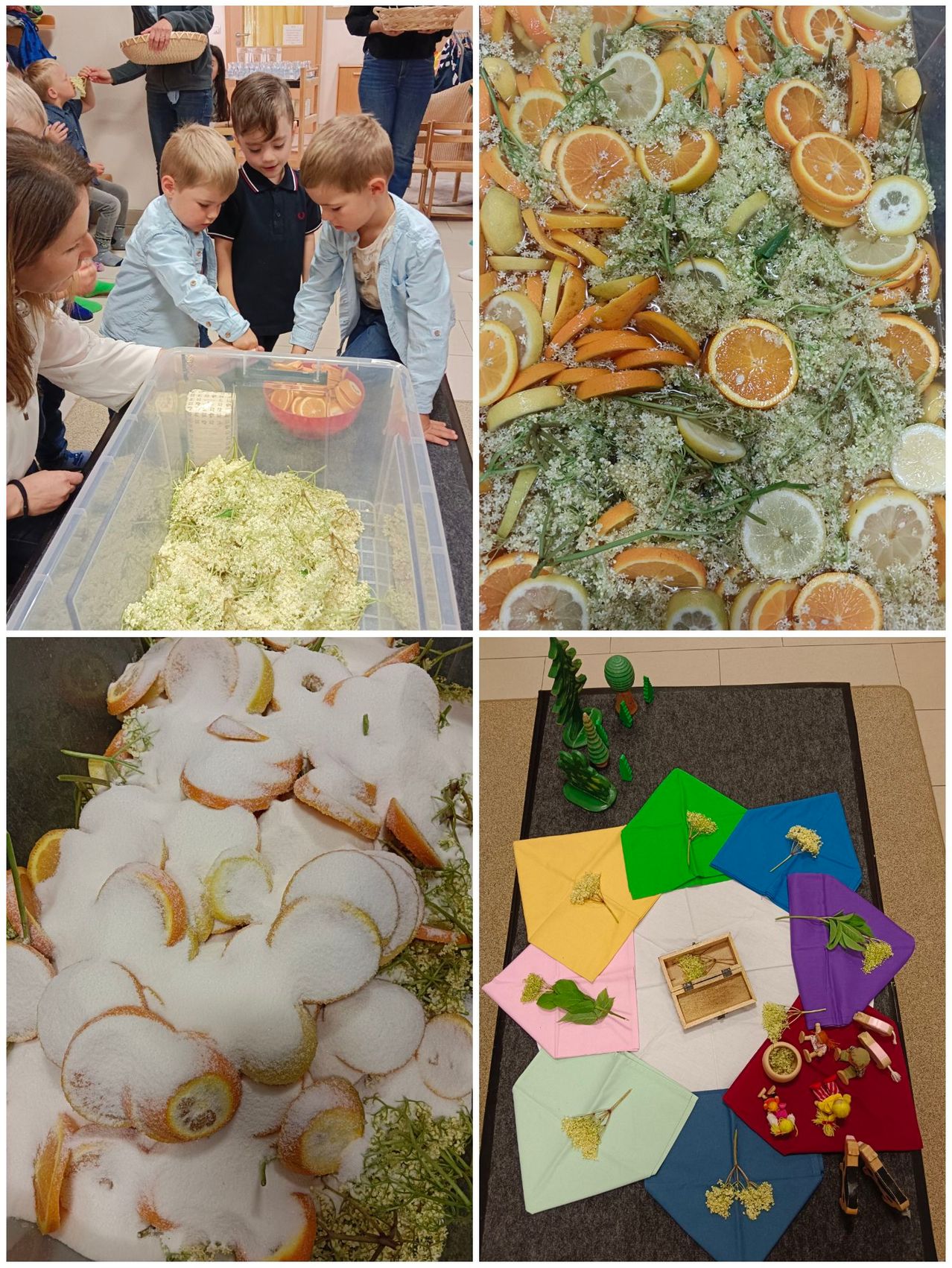 Vier Bilder zeigen eine Frau und Kinder in einem Klassenzimmer, die einen Behälter mit Kräutern und Zitrusfrüchten erkunden, einen Haufen gezuckerter Zitrusscheiben und einen Tisch mit farbenfrohen Tüchern und kleinen Figuren.