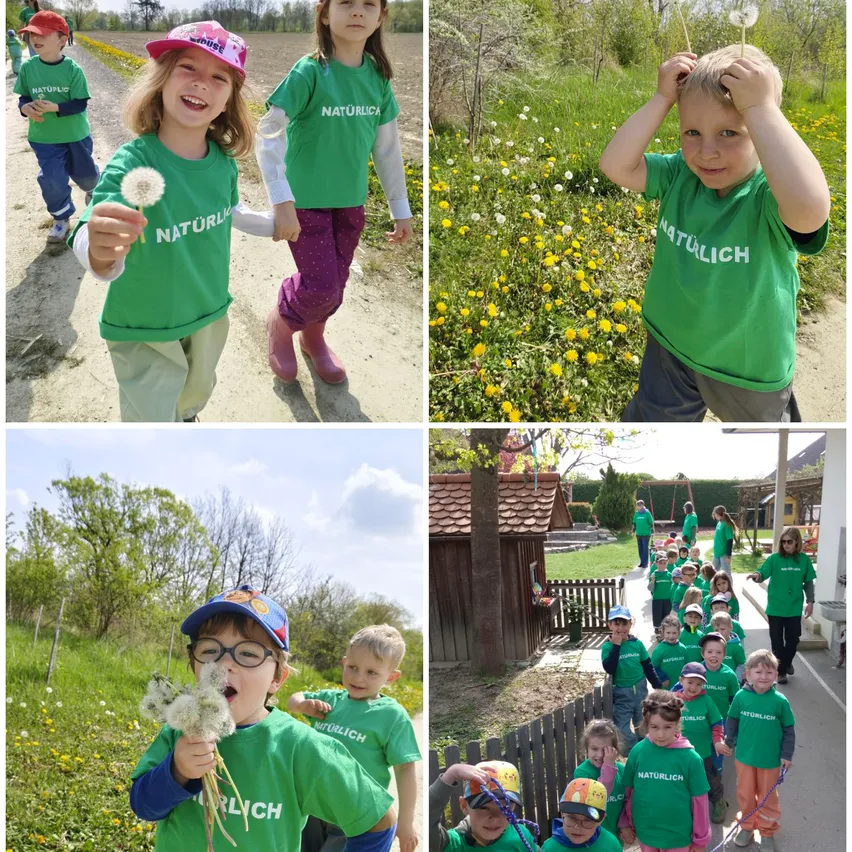 Vier Fotos zeigen Kinder in grünen Shirts, die auf einem Feldweg gehen, Gänseblümchen halten und eine Gruppe, die mit Erwachsenen in einem Hof läuft.