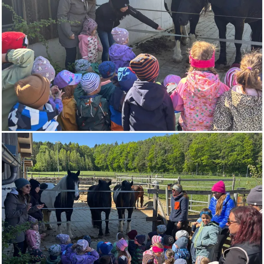Eine Gruppe von Kindern und Erwachsenen versammelt sich um Pferde auf einem Bauernhof, wobei einige die Pferde durch den Zaun berühren. Ein anderes Bild zeigt Menschen, die Pferde in einem eingezäunten Bereich beobachten.