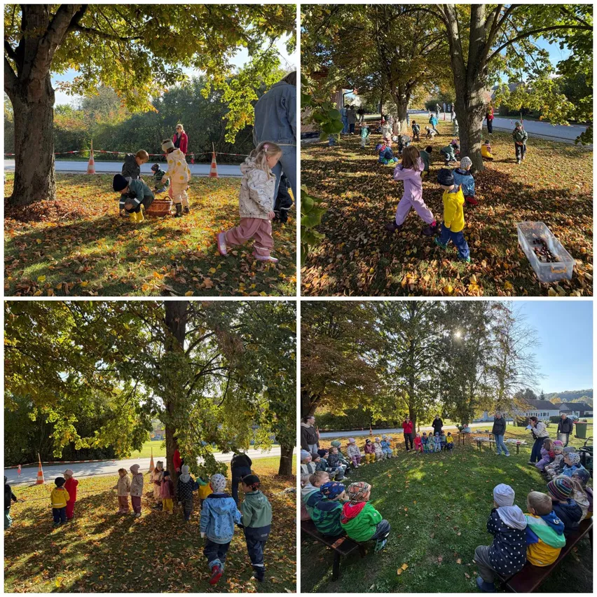Eine Gruppe von Kindern spielt in einem Park mit Bäumen und gefallenen Blättern. Einige pflücken Blätter, während andere auf dem Gras sitzen.
