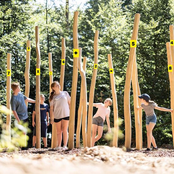 Bild enthält, Outdoors, Tree, Vegetation, Woodland, Shorts, Person, Child, Female, Girl, Cricket Bat