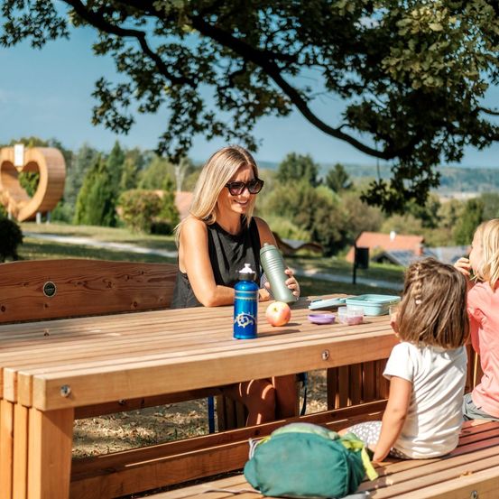 Bild enthält, Wood, Grass, Nature, Outdoors, Scenery, Tree, Park, Summer, Portrait, Table