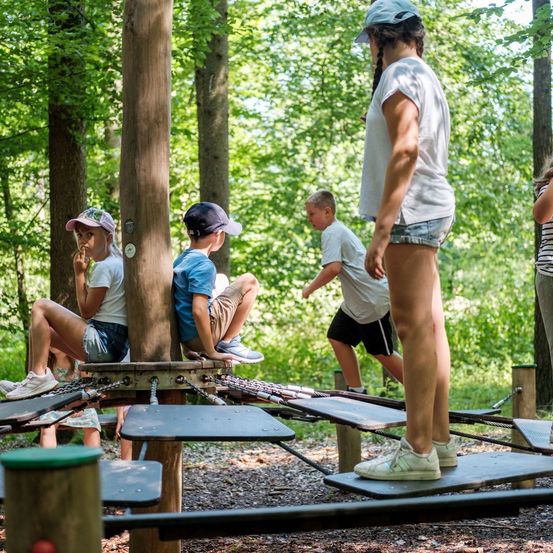 Bild enthält, Shorts, Vegetation, Grove, Tree, Woodland, Grass, Park, People, Person, Child