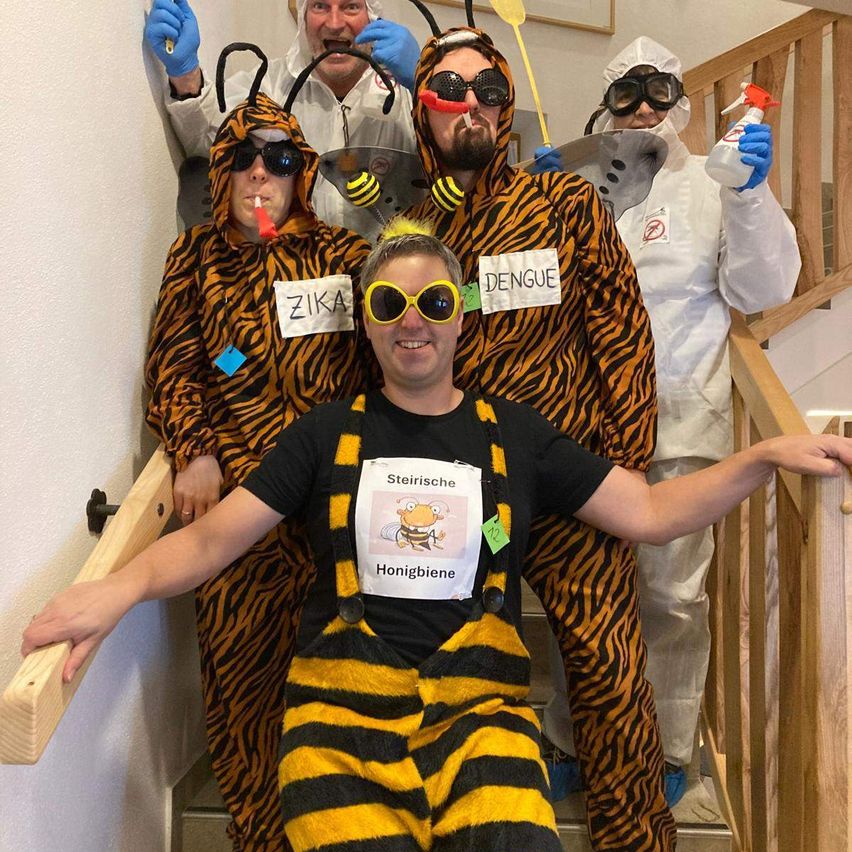 A group of people dressed in costumes, one person sitting with a bee costume, two with tiger costumes, and two in white suits. They are posing for a photo on a staircase.