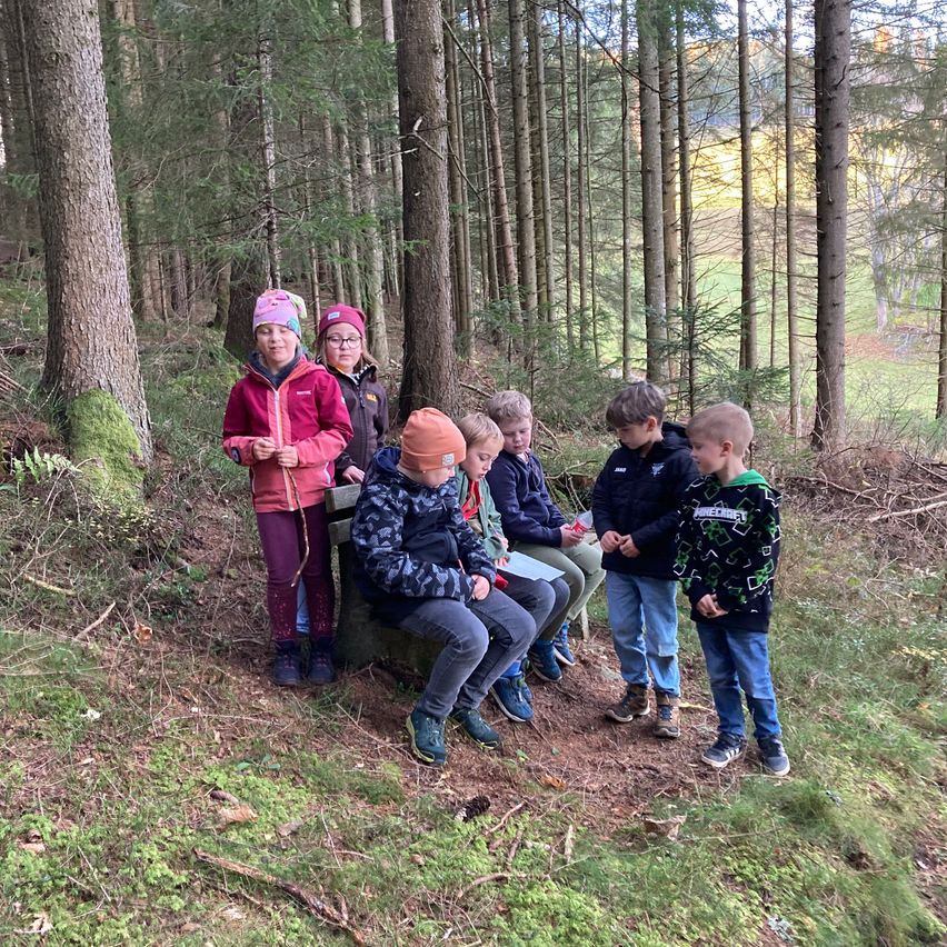 A group of children and two adults are sitting and standing in a forest, looking down at a paper.