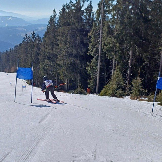Ein Skifahrer navigiert einen Kurs, der von blauen Flaggen in einer verschneiten Gebirgsregion markiert ist.