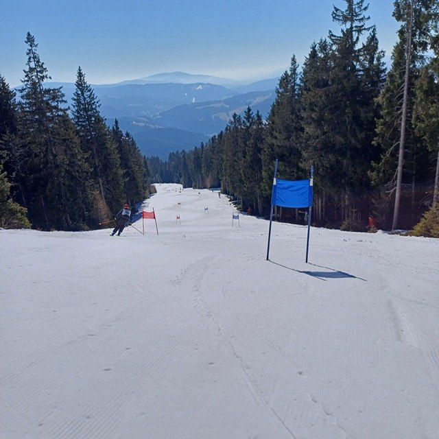 Ein Skifahrer fährt einen schneebedeckten Hang hinunter und passiert dabei blaue Flaggen und rote Markierungen. Bäume säumen die Seiten, und Berge sind im Hintergrund zu sehen.