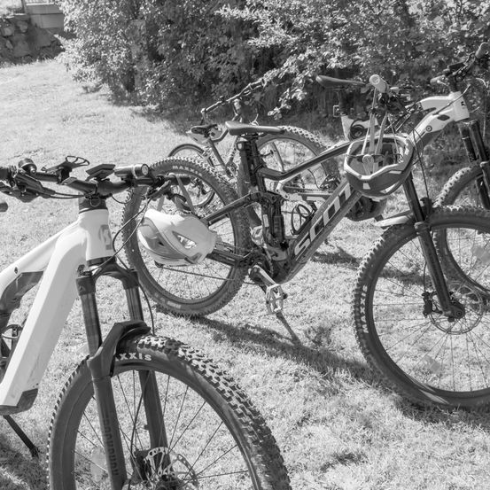 Bild enthält, Bicycle, Mountain Bike, Transportation, Vehicle, Machine, Wheel, Helmet, Spoke