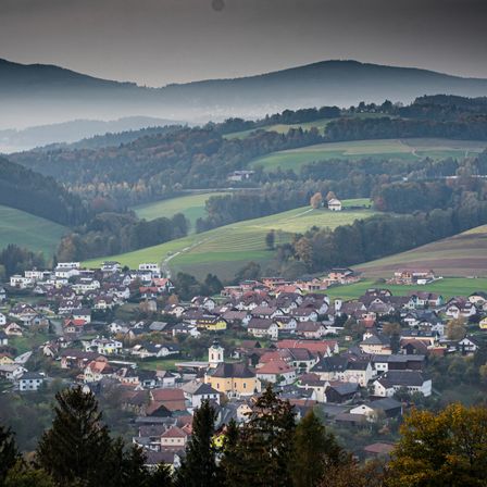 Bild enthält, Fir, Tree, Outdoors, Nature, Countryside, Plateau, Scenery, Landscape, Mountain, Rural