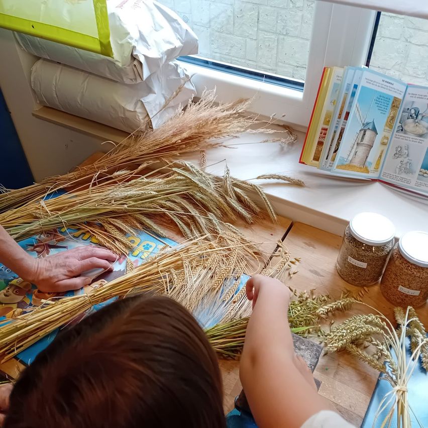 Zwei Kinder ordnen Weizenhalme auf einem Tisch am Fenster an. Ein offenes Buch, Gläser und einige verpackte Pakete sind ebenfalls sichtbar.