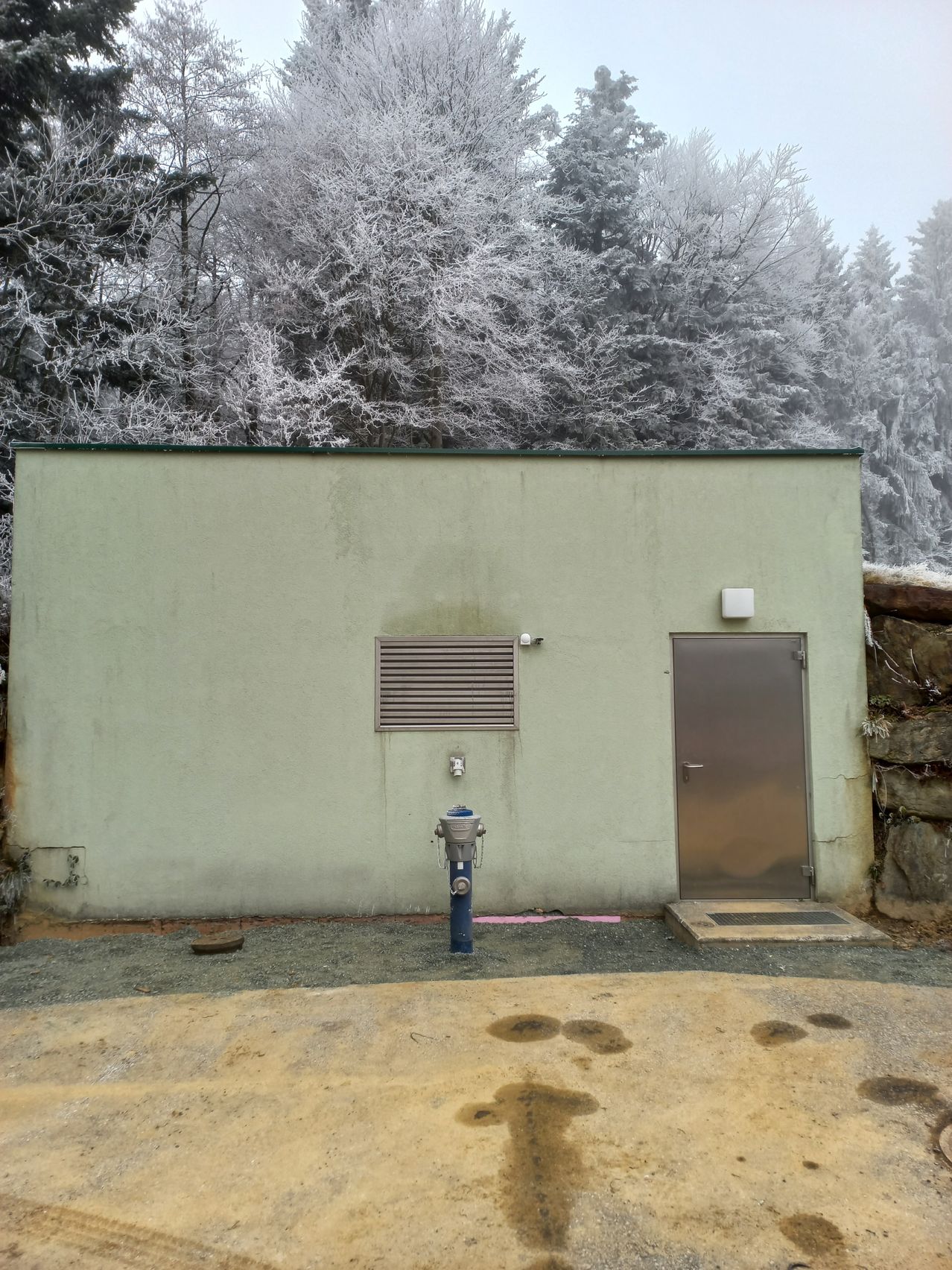 Ein Gebäude mit einer Metalltür und einem Feuerhydranten steht vor einem schneebedeckten Wald.