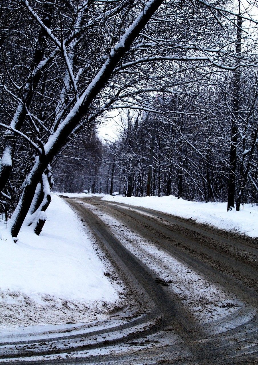 Eine verschneite Straße in einem Wald mit kahlen Bäumen und einigen Fußabdrücken im Schnee. Die Straße ist leer.
