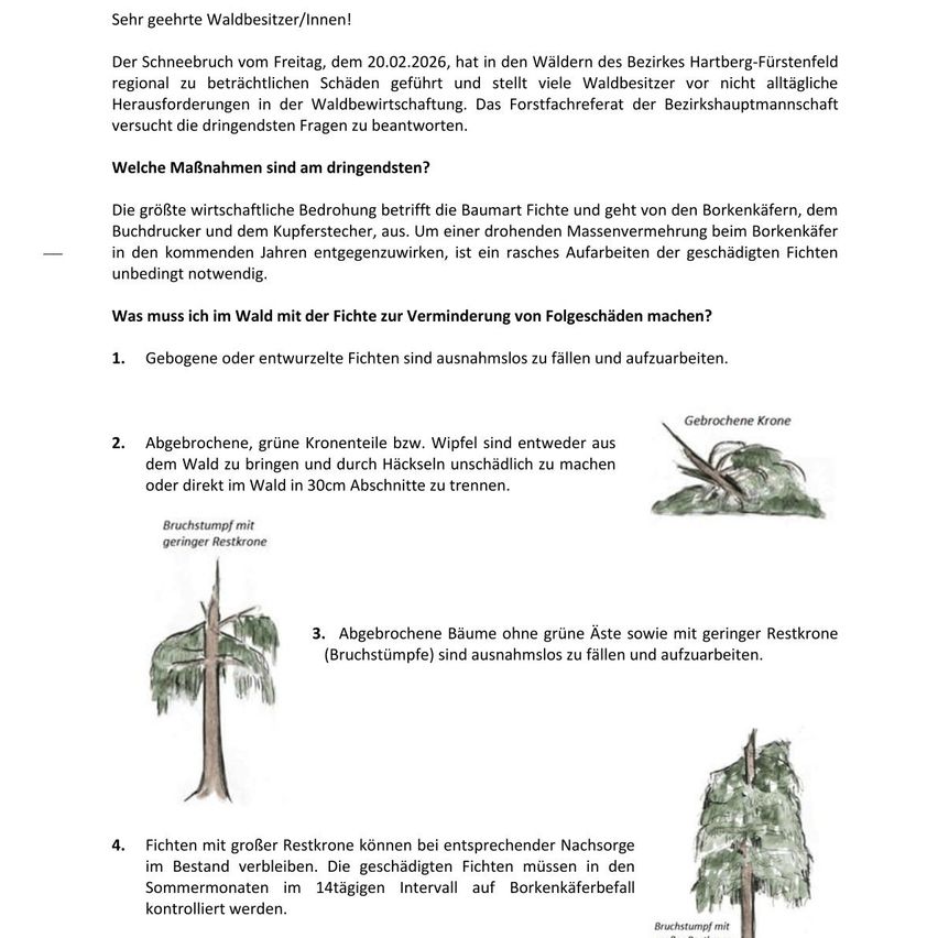 A forestry accident occurred on Friday, February 20, 2026, in the forests of the Hartberg-Fürstenfeld district, leading to considerable damage to forest owners. The forestry department of the district capital administration is urgently addressing the questions.