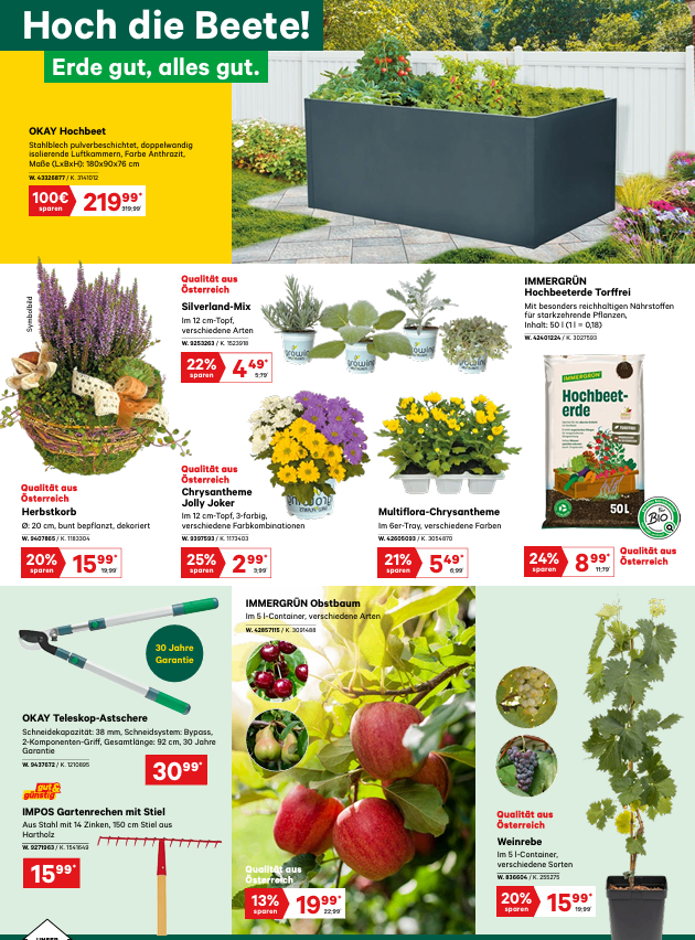 Ein Gartenwerbeplakat mit verschiedenen Produkten wie hochwertige Rübensamen, Gartenwerkzeuge und Chrysanthemen. Das Plakat hebt Rabatte und Merkmale jedes Produkts hervor.