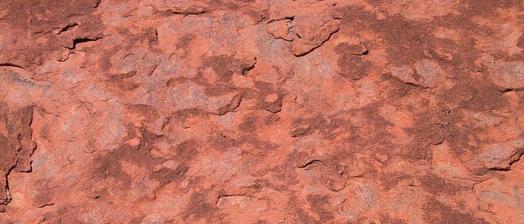 Ein Nahaufnahme einer rötlich-braunen Felsoberfläche mit unregelmäßigen Formen und Mustern, möglicherweise aufgrund von Erosion.