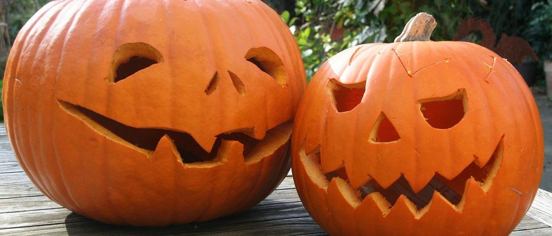 Zwei geschnitzte Kürbisse stehen auf einer Holzoberfläche und zeigen kreative Halloween-Designs.