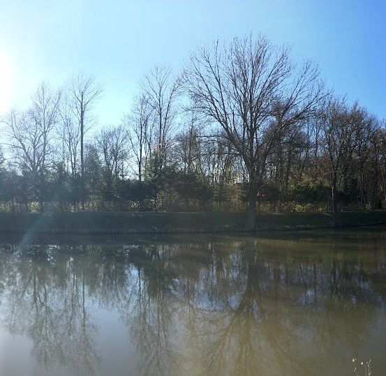 Landscape, Nature, Outdoors, Scenery, Pond, Water, Canal, Panoramic, Grass, Park