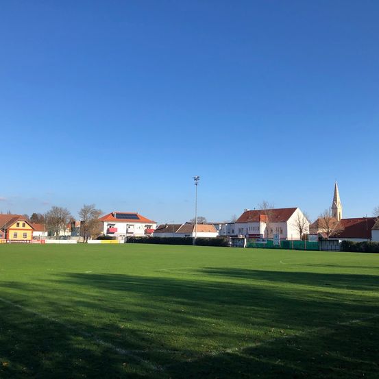 Field, Person, Cricket, Sport, Suburb