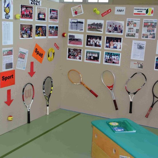 Racket, Sport, Tennis, Tennis Racket, Ball, Tennis Ball, Person, Head, Face