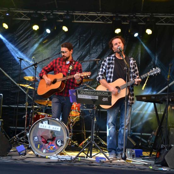 Guitar, Adult, Male, Man, Person, Concert, Speaker, Performer, Music, Musician