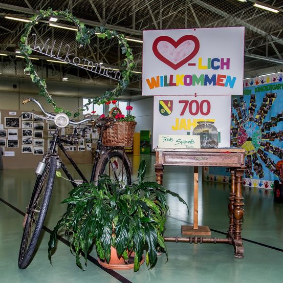 Wheel, Plant, Potted Plant, Bicycle, Vehicle, Floor, Flooring, Spoke, Person, Indoors