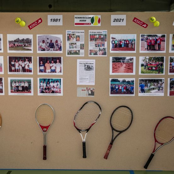 Racket, Sport, Tennis, Tennis Racket, Person, Ball, Tennis Ball