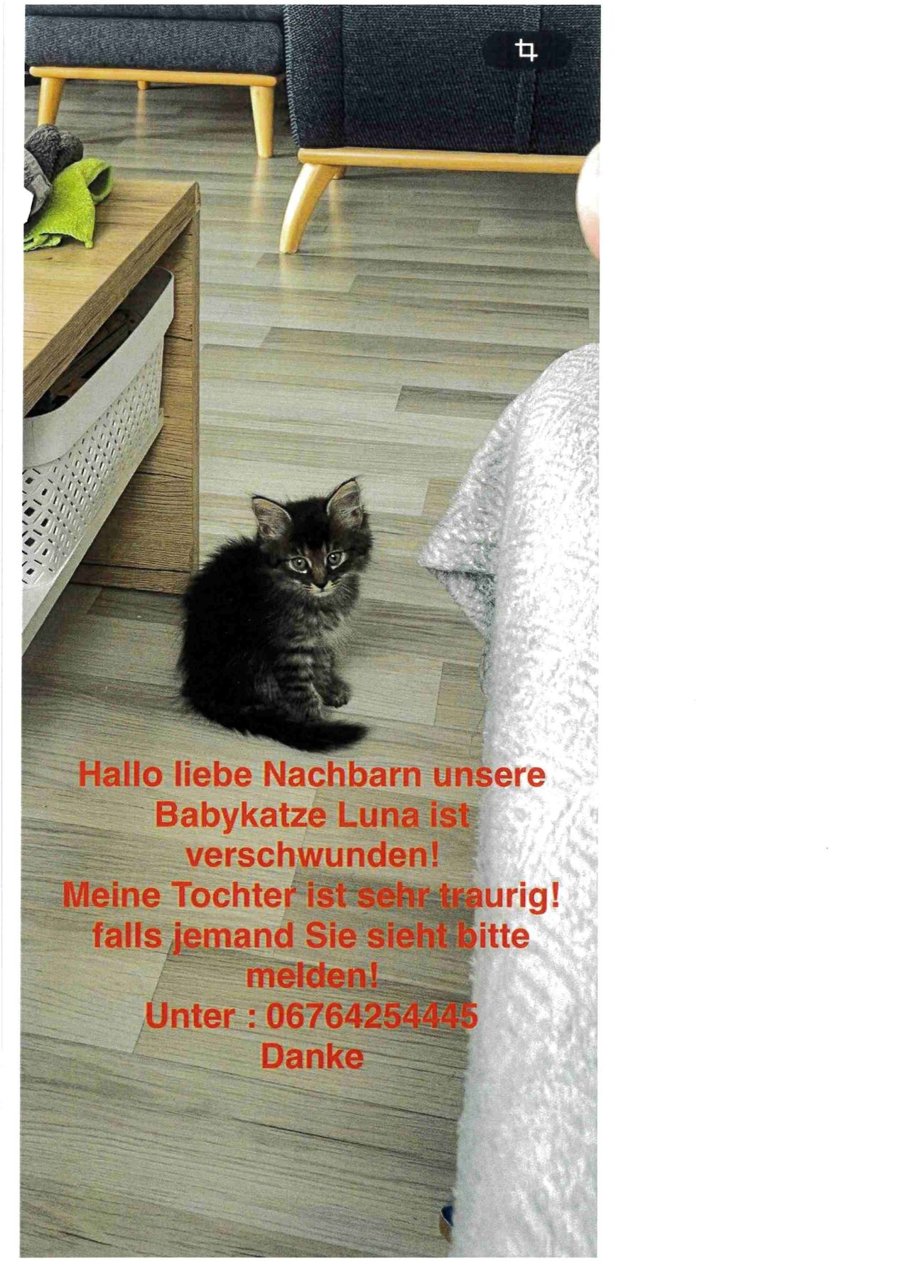 Ein Foto zeigt eine vermisste Babykatze namens Luna auf einem Holzboden mit einer Bitte um Sichtungen und einer Telefonnummer.