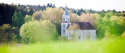 Eine weiße Kirche mit einem blauen Turm steht in einem üppigen grünen Feld, umgeben von hohen Bäumen unter einem klaren Himmel.