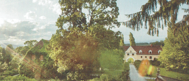 Eine Landschaftsansicht eines üppig grünen Bereichs mit einem großen Baum und einem Haus mit rotem Dach in der Ferne. Die Sonne scheint hell und wirft einen warmen Glanz auf die Szene.