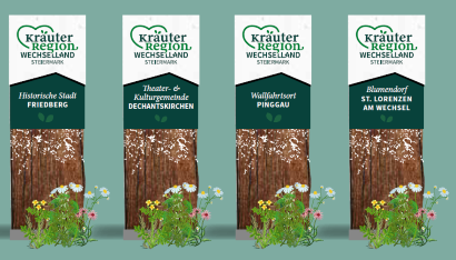 Vier Banner werden vor einem grünen Hintergrund gezeigt. Jeder Banner zeigt einen Baumstamm mit einem Schild, das 'Krauter Region Wechsleland Steternpark' liest. Jeder Banner hebt ein anderes Wahrzeichen hervor: Historische Stadt Friedberg, Theater & Kulturkirche, Wallfahrtsort Pinggau und Blumendorf St. Lorenzen am Wechsel.