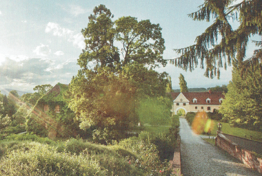 Ein schöner sonniger Tag auf einem Landgut mit einem großen Baum, einem rotgedeckten Haus und einer Kiesauffahrt.
