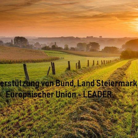 Ein grünes Feld mit einem Zaun, das einen Sonnenuntergang und Text auf Deutsch zeigt. Bäume und Büsche säumen den Hintergrund.