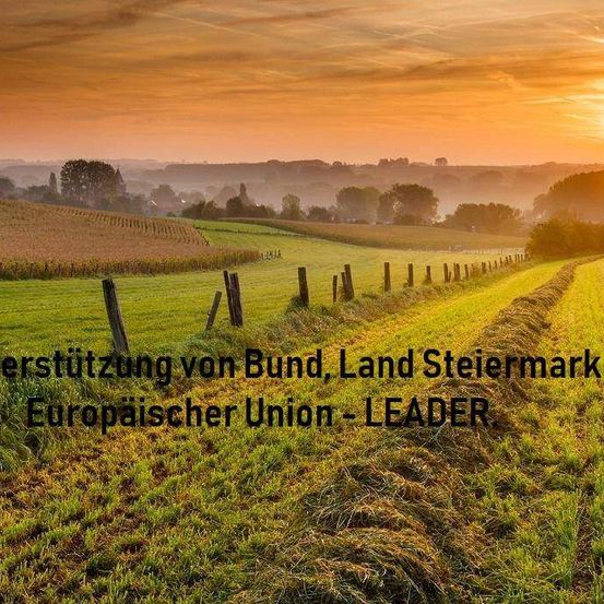 Ein grünes Feld mit einem Zaun, das einen Sonnenuntergang und Text auf Deutsch zeigt. Bäume und Büsche säumen den Hintergrund.